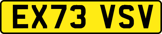 EX73VSV