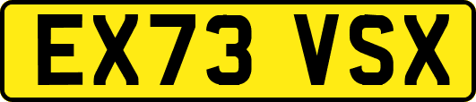 EX73VSX