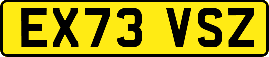 EX73VSZ