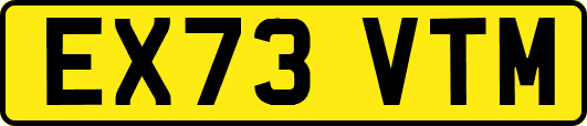 EX73VTM