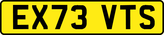 EX73VTS