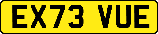 EX73VUE