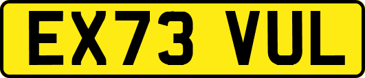 EX73VUL