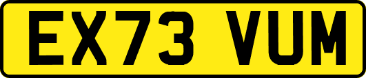 EX73VUM