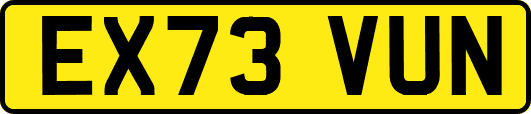 EX73VUN