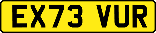 EX73VUR