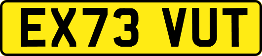EX73VUT