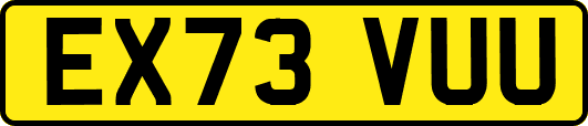 EX73VUU