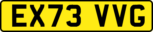 EX73VVG