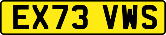 EX73VWS