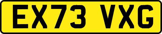 EX73VXG