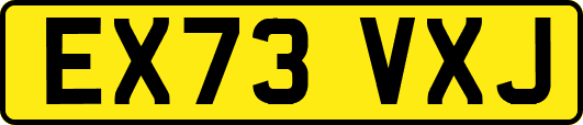EX73VXJ