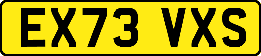 EX73VXS