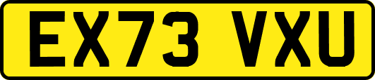 EX73VXU