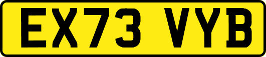 EX73VYB
