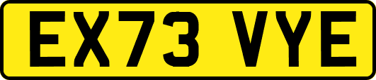 EX73VYE