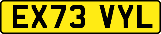 EX73VYL