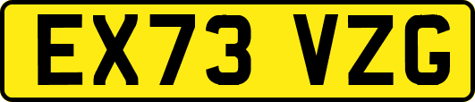 EX73VZG