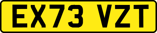 EX73VZT
