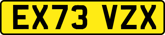 EX73VZX