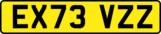 EX73VZZ