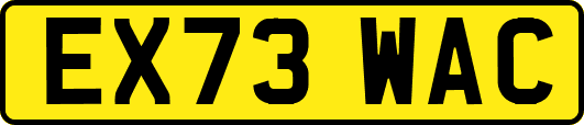 EX73WAC