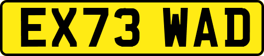 EX73WAD