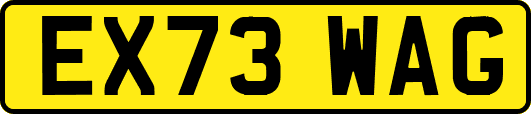 EX73WAG