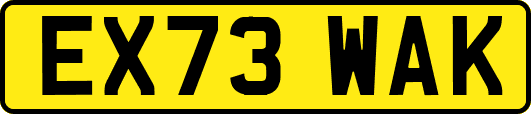 EX73WAK