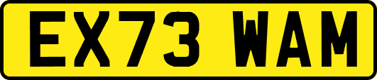 EX73WAM