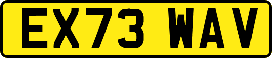 EX73WAV