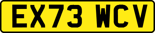 EX73WCV