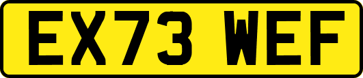 EX73WEF