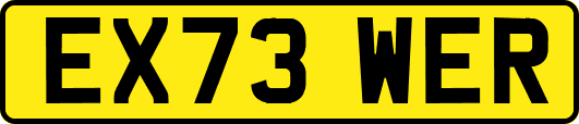 EX73WER