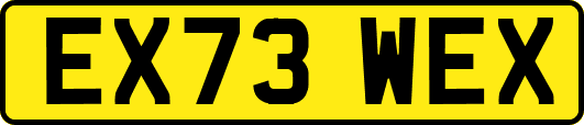 EX73WEX