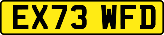 EX73WFD
