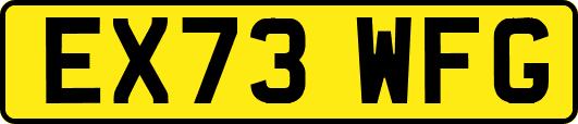 EX73WFG