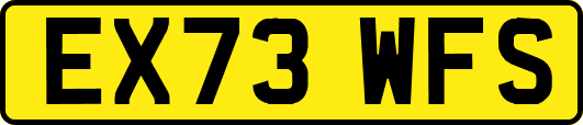 EX73WFS