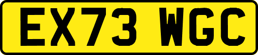 EX73WGC