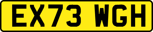 EX73WGH