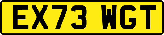 EX73WGT