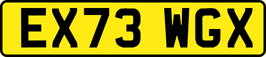 EX73WGX