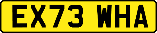 EX73WHA