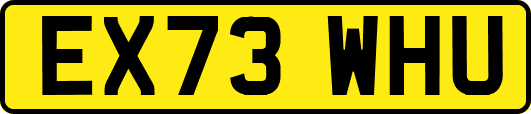 EX73WHU