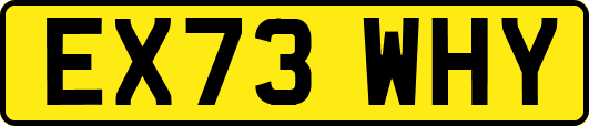 EX73WHY