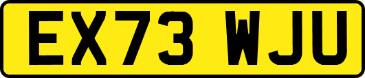 EX73WJU