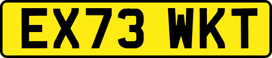 EX73WKT