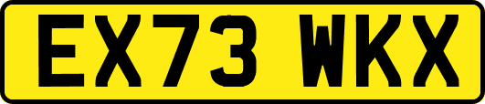 EX73WKX