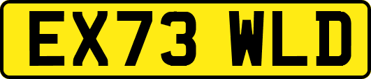 EX73WLD