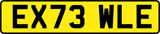 EX73WLE